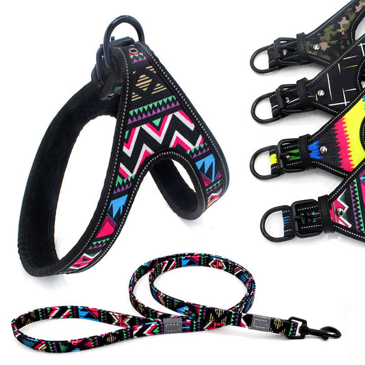 Colorful Dog Leash and Harness